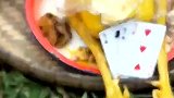 清明节拜山那些事：祭祖摆这样的祭品是什么意思，有知道的吗