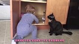 宝宝爬到柜子里偷东西，猫咪直接关上了柜门，这下完蛋了