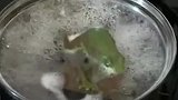 “温水煮青蛙”到底有怎样的结果科学家亲自实验，网友：还是人吗