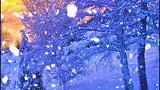 创作灵感   春赏百花冬观雪，醒亦念卿，梦亦念卿！东北请全看暴雪