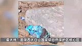游客在鳌太线发现1具男尸，警方：系绕路上山，遇极端天气失温致死