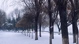 不求圆满，但求心安和平安。