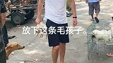 希望你放了它希望你善待狗狗