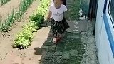 二货老公和闺女合伙算计媳妇，这套路真是让人防不胜防啊