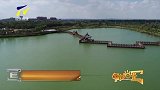 资讯盐池湖泊湿地近期飞来大量候鸟