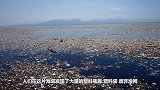 太平洋中的“垃圾场”，面积相当于3个日本，每年都在扩大！