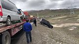 堵车是拦不住越野车的，车主把钱花在“刀刃上”