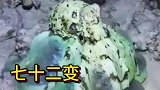 海洋中的佼佼者，七十二变
