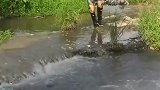 小伙子一网下去就好多鱼