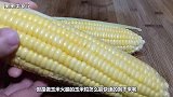 玉米上有个小开关，剪刀一扎一转，玉米粒完整脱落，1分钟剥一盘