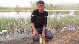 来河边钓鱼，七星漂钓草边，全是黄金鲫