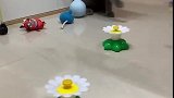 猫：主人又买的啥东西，还挺好玩的！