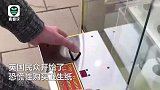 卫生纸被抢购一空，英国街头抓娃娃机变成“抓卫生纸”机