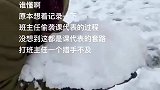 主打一个措手不及！