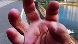 都说拿人家的手短，你这是拿了多少啊