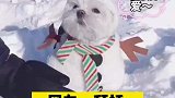 妈妈看我！我也成雪人了