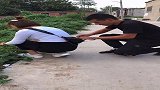 见义勇为的狗，太优秀了