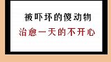被吓坏的动物治愈一天不开心