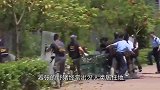 野猪不知自己身处陷阱，大门重重掉落，猪群的反应十分壮观！