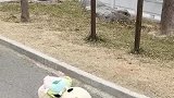 爸爸带娃的好处就是，回到家后就立马睡觉