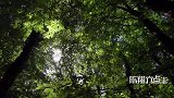 陈翔六点半：大侠，你是在劫富济贫还是拿我刷业绩呢