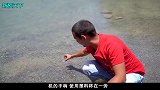 无人机上放一杯水可以一滴不漏吗？无人机稳定测试，一起来见识下