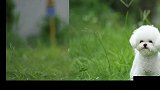 买家秀，真是爱了爱了