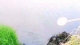 怪不得表哥家不是买房就买车