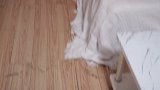 给猫喂完猫薄荷后续，家里被拆了！主人欲哭无泪