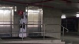 外国人爆笑恶搞系列，这些动物也太沙雕了，看完笑到停不下来