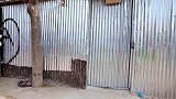 女孩子怎么都这么彪悍呀