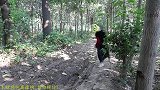 奥特曼真人版：怪兽为逃过迪迦的追捕，竟化作人类，迪迦能识破吗
