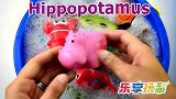 乐享动物乐园带你认识跃动的海豚和五辐海星
