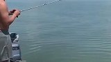 一个手滑鱼竿和鱼都没了，钓鱼还送礼第一次见