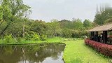 共青森林公园上海