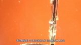 20天不洗头会有多脏显微镜放大100倍观察，答案一目了然