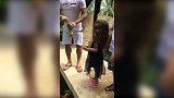 中超-17赛季-胡尔克带家人三亚度假 萌萌女儿锦鲤-专题