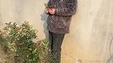 妹妹你多大啊，过没过十八