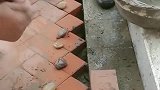 一天的老师傅干活真是天衣无缝，最后用鹅卵石点缀，太漂亮了！