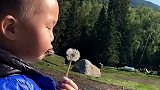 萌娃吹蒲公英的样子真的很搞笑，是不是像极了你小时候的样子