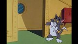 猫和老鼠：野猫模仿汤姆的动作，模仿的一模一样