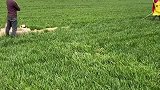 兄弟生气了。第二十九集