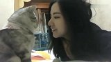 狸花猫：女人，你亲了朕以后就是朕的人了