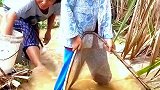 小男孩田间抓鱼，奶奶为让他捞到鱼偷偷放鱼，童年快乐很简单