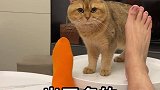 知道真相的我眼泪掉下来