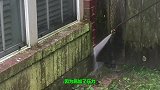 加压水和钢化玻璃谁比较厉害？老外亲测，结果让人出乎意料！