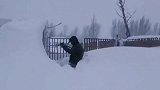 内蒙古通辽雪灾，希望不要再下了农牧民塌棚死牲畜这是我家