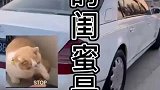 有个富婆闺蜜是什么体验只有我一个人不知道，买迈巴赫送手机