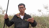 七星漂钓草洞，黑鱼也能连竿，太刺激了