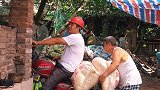 包立春和父亲拉猪食，桃子姐在家做凉皮，包立春一人吃得美滋滋